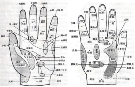 手指代表的器官|十个手指代表的器官是什么